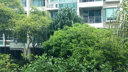 ClementiWoods Condominium (D5), Condominium #489620261